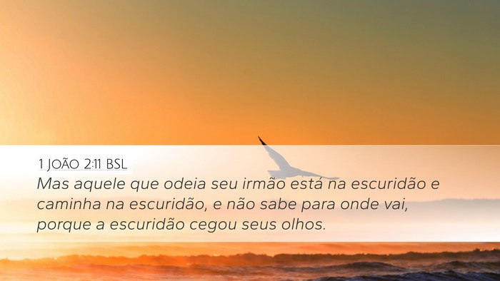 1 João 2:11 BSL Bible Verse Image