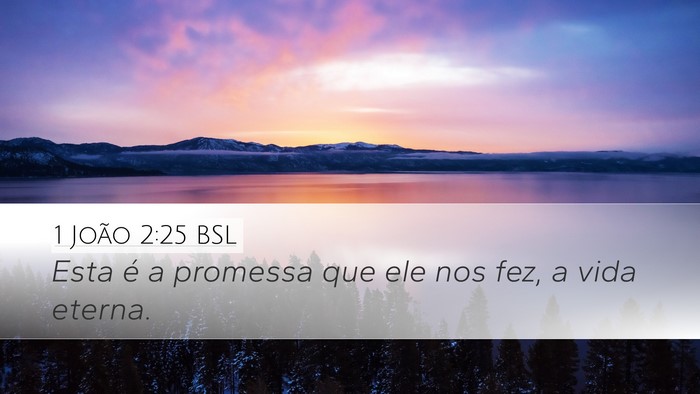 1 João 2:25 BSL Bible Verse Image