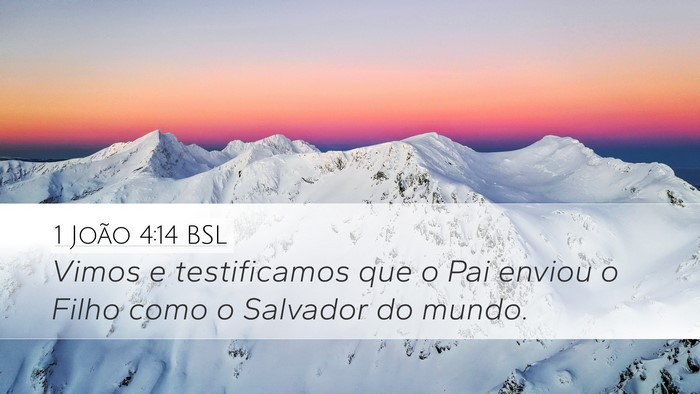 1 João 4:14 BSL Bible Verse Image