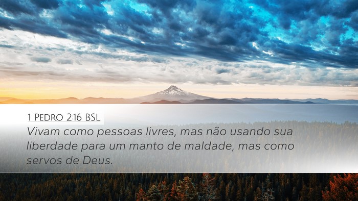 1 Pedro 2:16 BSL Bible Verse Image
