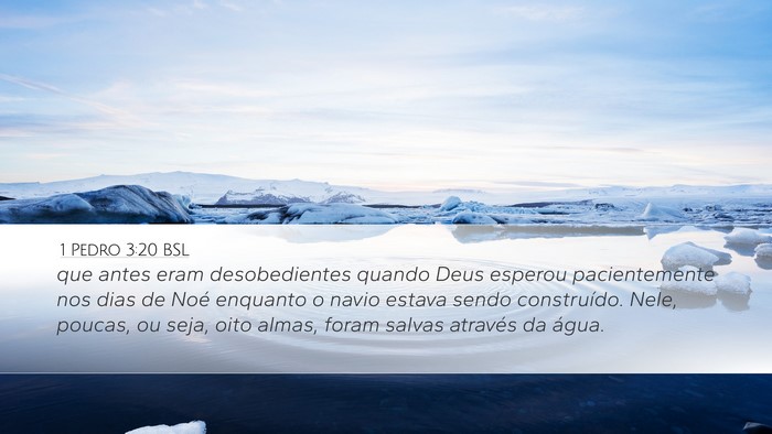 1 Pedro 3:20 BSL Bible Verse Image