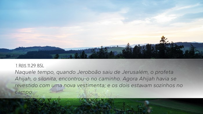 1 Reis 11:29 BSL Bible Verse Image