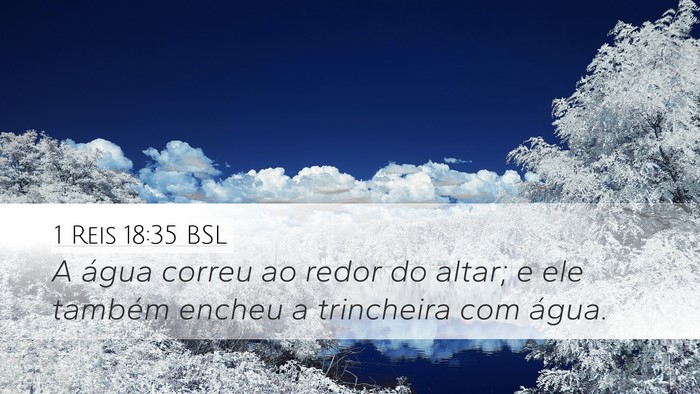 1 Reis 18:35 BSL Desktop Wallpaper - A água correu ao redor do altar; e ele também - Desktop Bible Verse Wallpaper