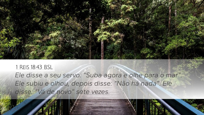 1 Reis 18:43 BSL Bible Verse Image