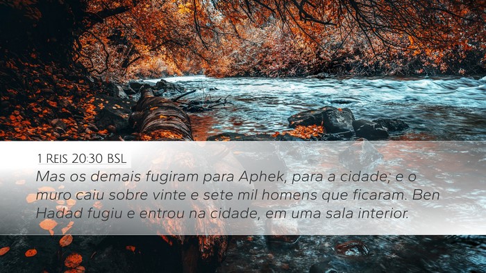 1 Reis 20:30 BSL Bible Verse Image