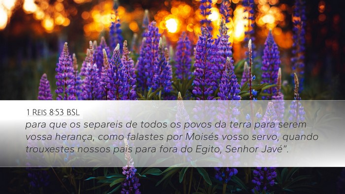 1 Reis 8:53 BSL Bible Verse Image