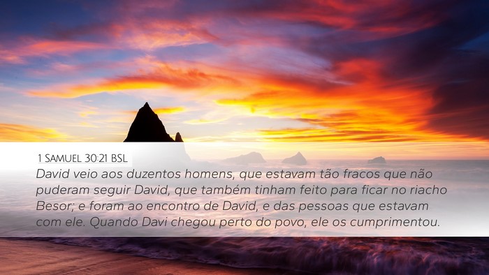 1 Samuel 30:21 BSL Bible Verse Image