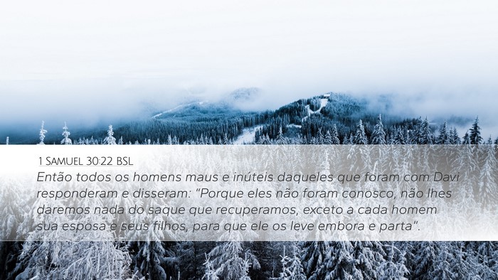 1 Samuel 30:22 BSL Bible Verse Image