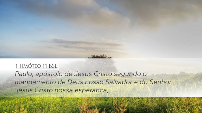 1 Timóteo 1:1 BSL Desktop Wallpaper - Paulo, apóstolo de Jesus Cristo segundo o - Desktop Bible Verse Wallpaper