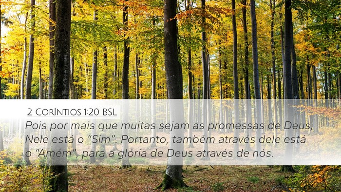 2 Coríntios 1:20 BSL Bible Verse Image