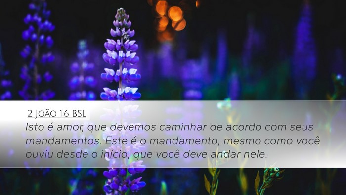 2 João 1:6 BSL Desktop Wallpaper - Isto é amor, que devemos caminhar de acordo com - Desktop Bible Verse Wallpaper