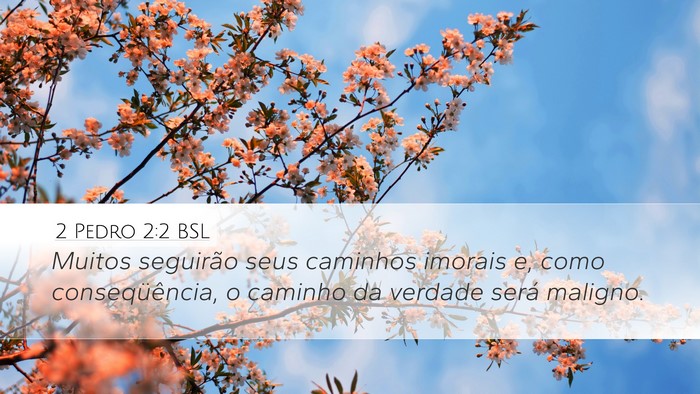 2 Pedro 2:2 BSL Bible Verse Image