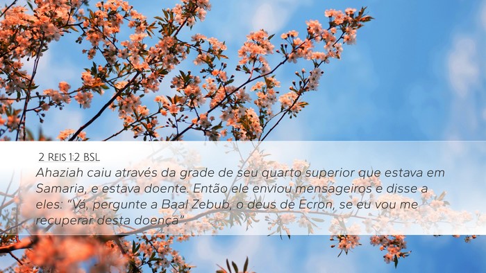 2 Reis 1:2 BSL Bible Verse Image
