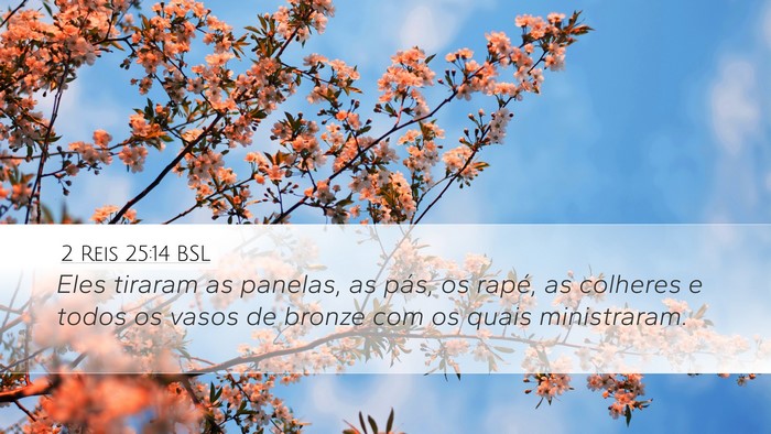 2 Reis 25:14 BSL Bible Verse Image