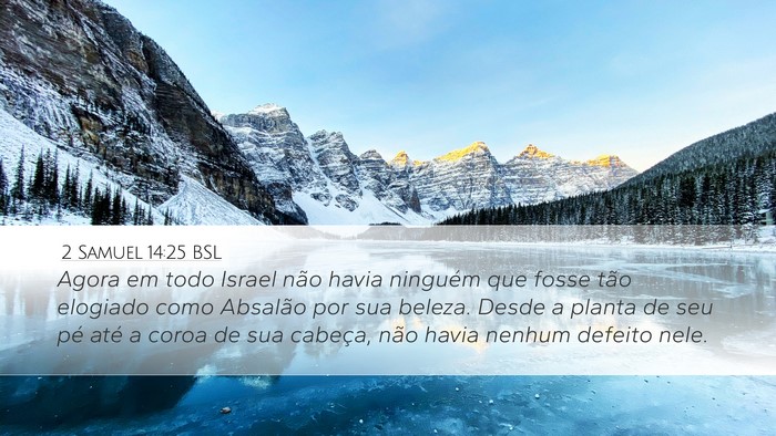 2 Samuel 14:25 BSL Bible Verse Image
