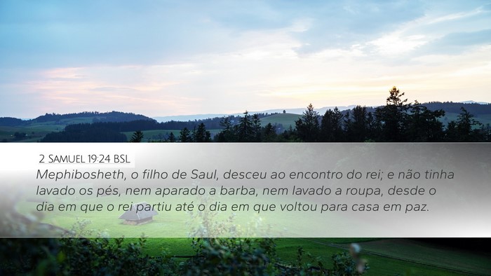 2 Samuel 19:24 BSL Bible Verse Image