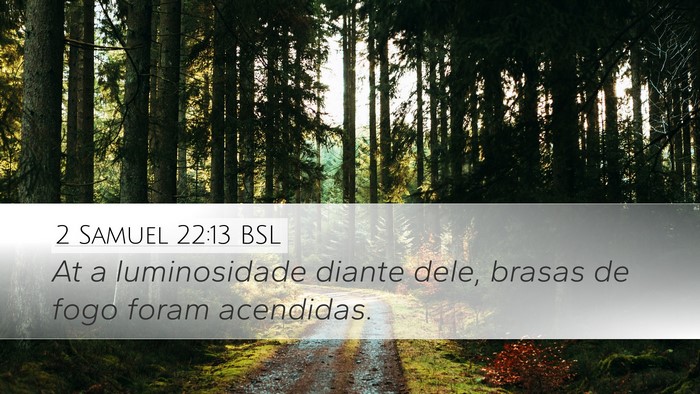 2 Samuel 22:13 BSL Bible Verse Image