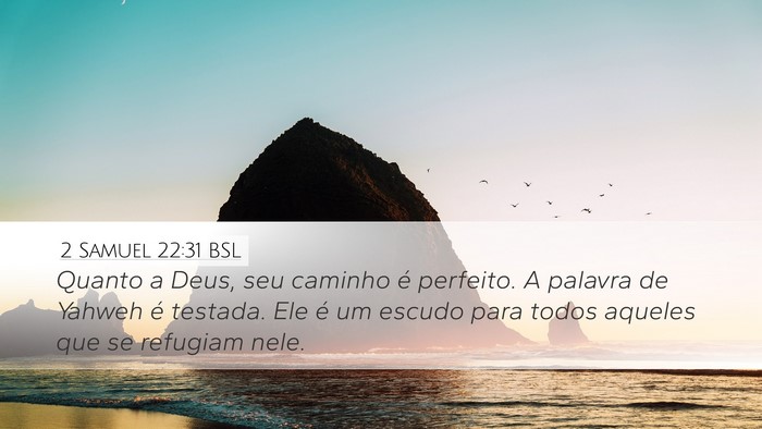 2 Samuel 22:31 BSL Bible Verse Image