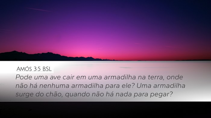Amós 3:5 BSL Desktop Wallpaper - Pode uma ave cair em uma armadilha na terra, onde - Desktop Bible Verse Wallpaper