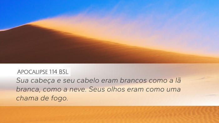 Apocalipse 1:14 BSL Bible Verse Image
