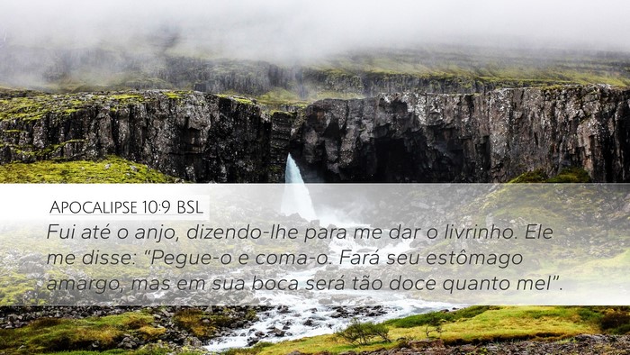 Apocalipse 10:9 BSL Bible Verse Image