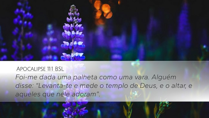 Apocalipse 11:1 BSL Bible Verse Image