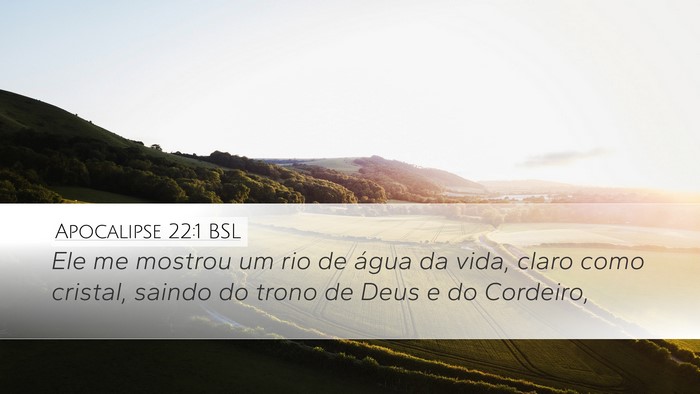 Apocalipse 22:1 BSL Bible Verse Image