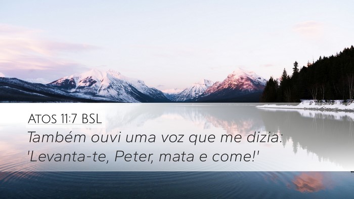 Atos 11:7 BSL Desktop Wallpaper - Também ouvi uma voz que me dizia: 'Levanta-te, - Desktop Bible Verse Wallpaper