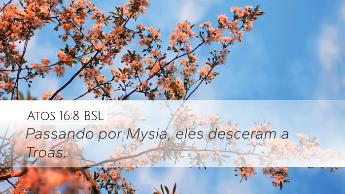 Atos 16:8 BSL Bible Verse Image