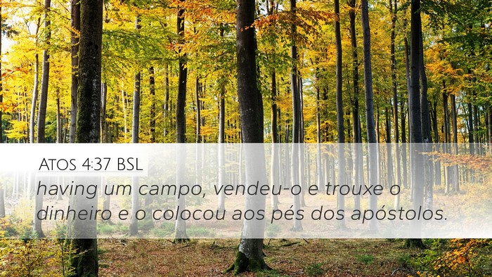 Atos 4:37 BSL Bible Verse Image