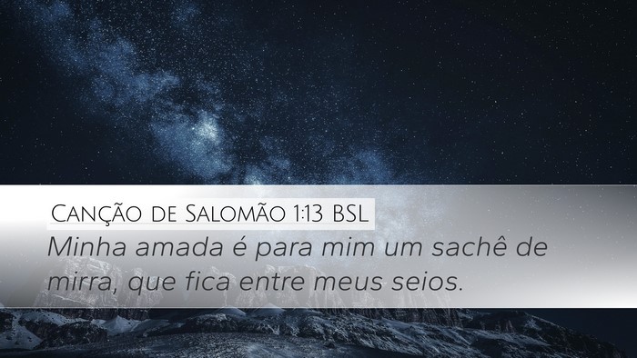 Canção de Salomão 1:13 BSL Bible Verse Image