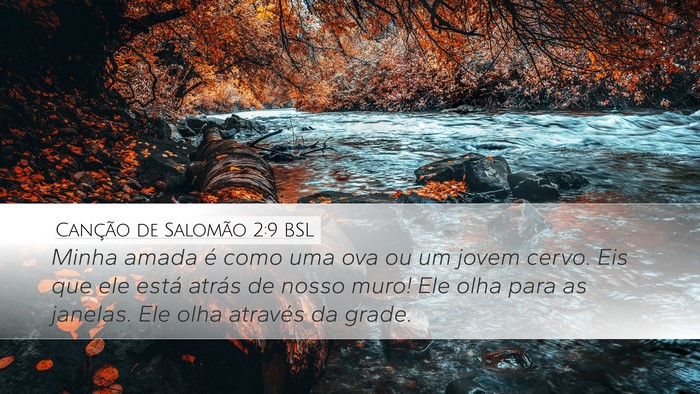 Canção de Salomão 2:9 BSL Bible Verse Image