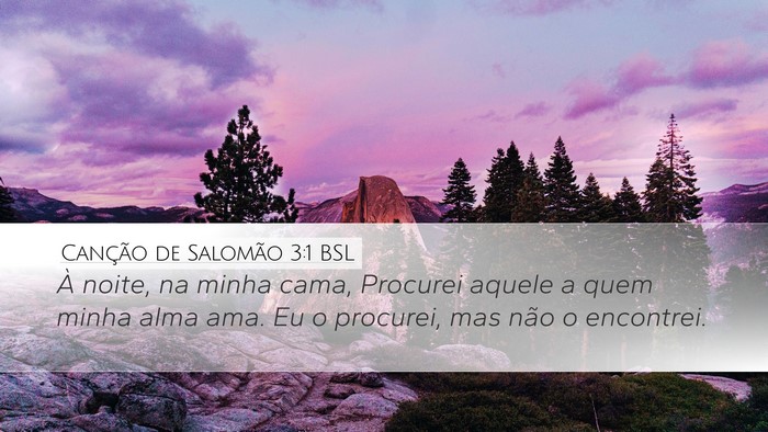 Canção de Salomão 3:1 BSL Bible Verse Image