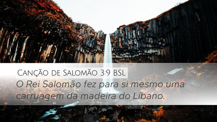 Canção de Salomão 3:9 BSL Bible Verse Image
