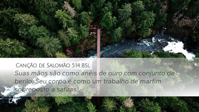 Canção de Salomão 5:14 BSL Bible Verse Image