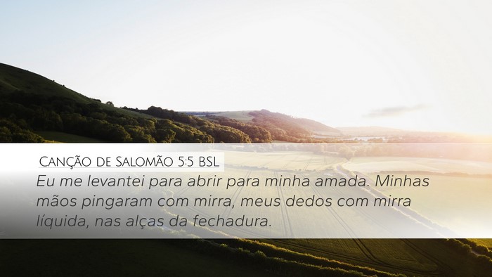 Canção de Salomão 5:5 BSL Bible Verse Image