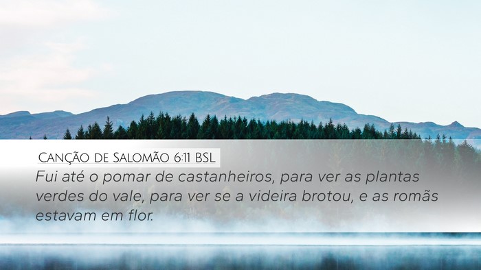 Canção de Salomão 6:11 BSL Bible Verse Image