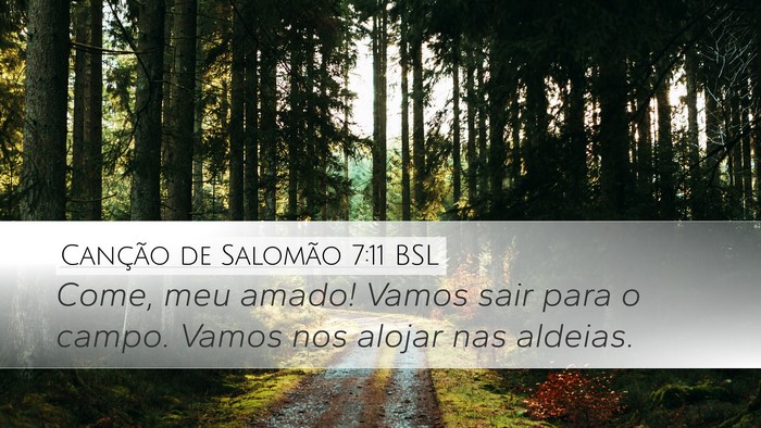 Canção de Salomão 7:11 BSL Bible Verse Image