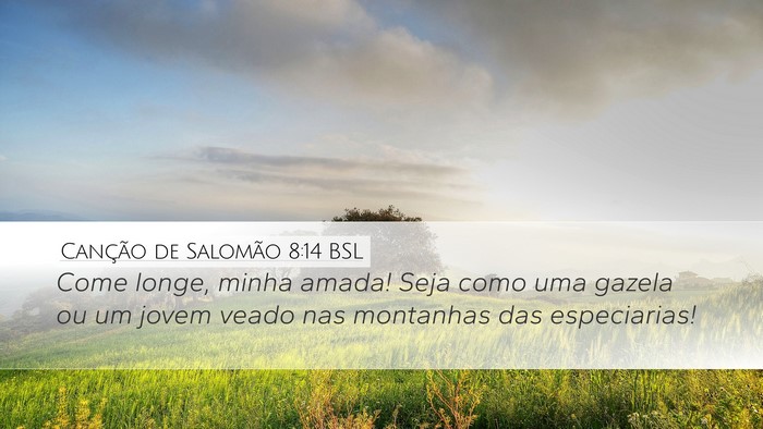 Canção de Salomão 8:14 BSL Bible Verse Image