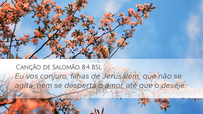 Canção de Salomão 8:4 BSL Bible Verse Image