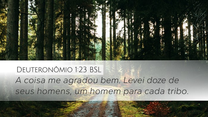 Deuteronômio 1:23 BSL Bible Verse Image