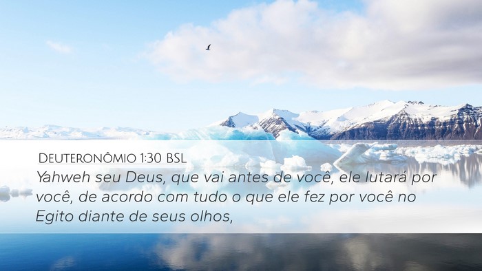 Deuteronômio 1:30 BSL Bible Verse Image