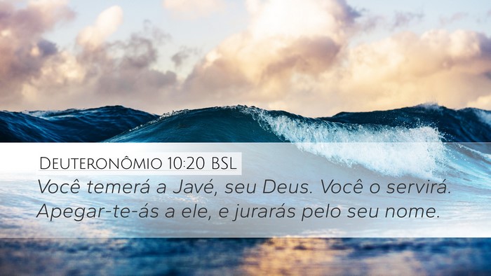 Deuteronômio 10:20 BSL Bible Verse Image