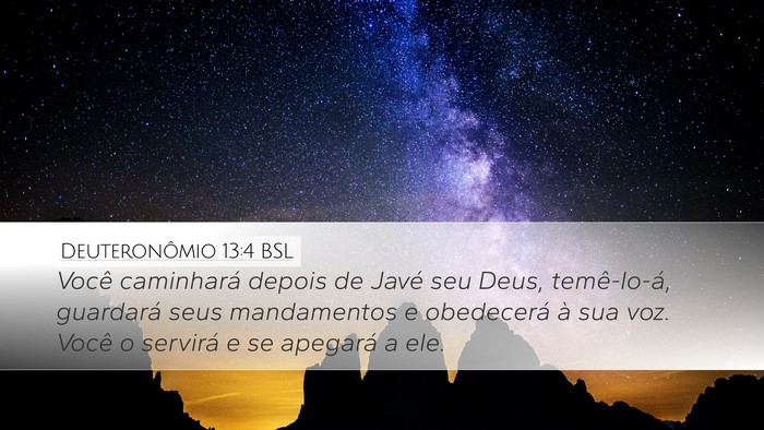 Deuteronômio 13:4 BSL Bible Verse Image