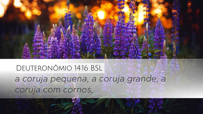 Deuteronômio 14:16 BSL Desktop Wallpaper - a coruja pequena, a coruja grande, a coruja com - Desktop Bible Verse Wallpaper