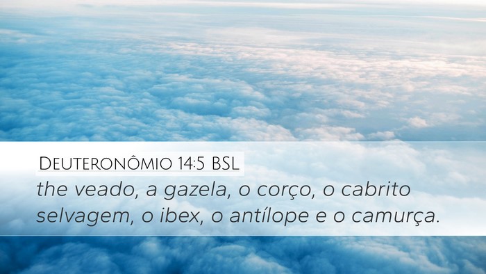 Deuteronômio 14:5 BSL Bible Verse Image