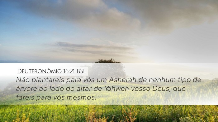 Deuteronômio 16:21 BSL Bible Verse Image