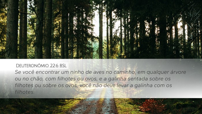 Deuteronômio 22:6 BSL Bible Verse Image