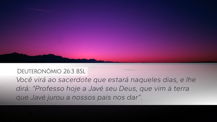 Deuteronômio 26:3 BSL Desktop Wallpaper - Você virá ao sacerdote que estará naqueles - Desktop Bible Verse Wallpaper