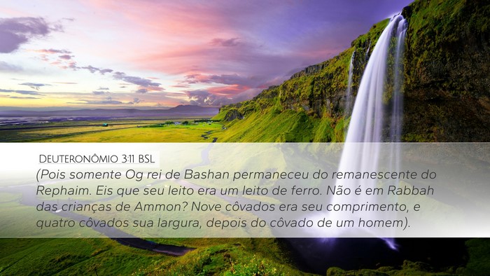 Deuteronômio 3:11 BSL Bible Verse Image